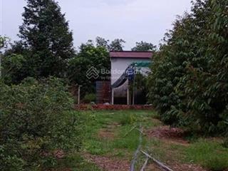 Cân bán gấp nhà vườn tại bình dương