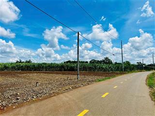 Bán đất sổ sẵn công chứng ngay gần khu công nghiệp đất đỏ, bà rịa vũng tàu chỉ 790tr cho 146.9m2