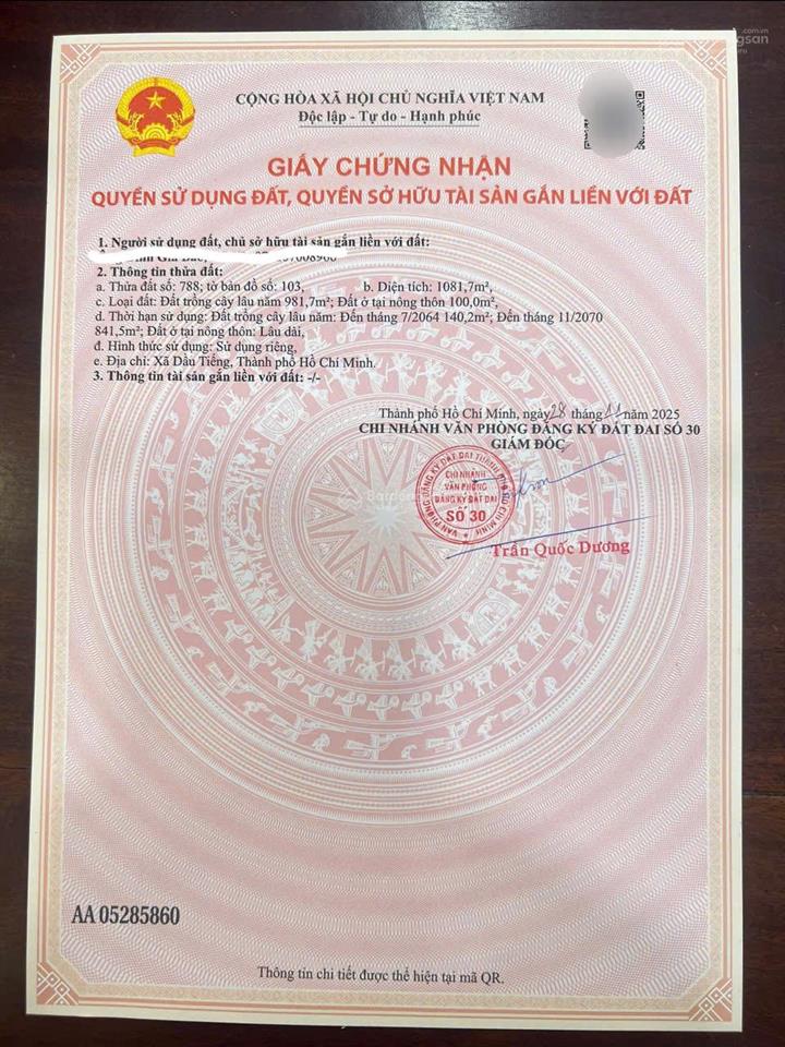 Bán đất 1100m2 có 100m2 thổ cư gần chợ, trường học