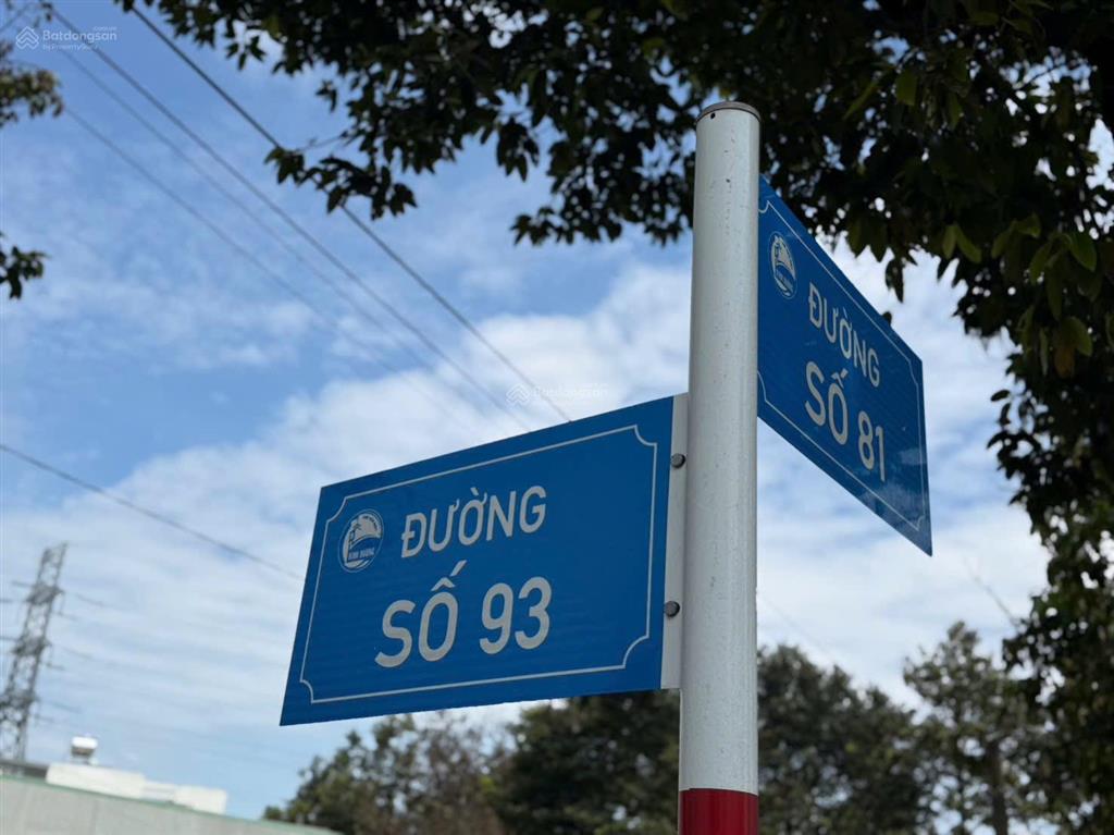 Gia đình e cần bán mấy lô đất mặt tiền đường 81 và 93 khu tái định cư phú chánh d phường phú tân