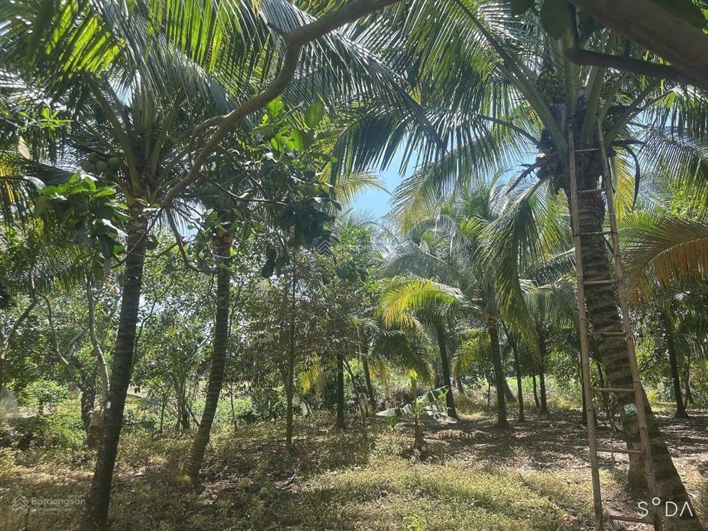 Bán 3500m2 có 300m2 thổ cư nhà cấp 4, tp. long khánh, giá 2tỷ5. 0945 291 ***