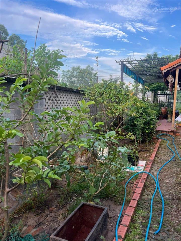 Nhà gỗ 3 gian khu nghỉ dưỡng 6.50m x 34m  phường phú thọ, tdm, gần đường vành đai 3