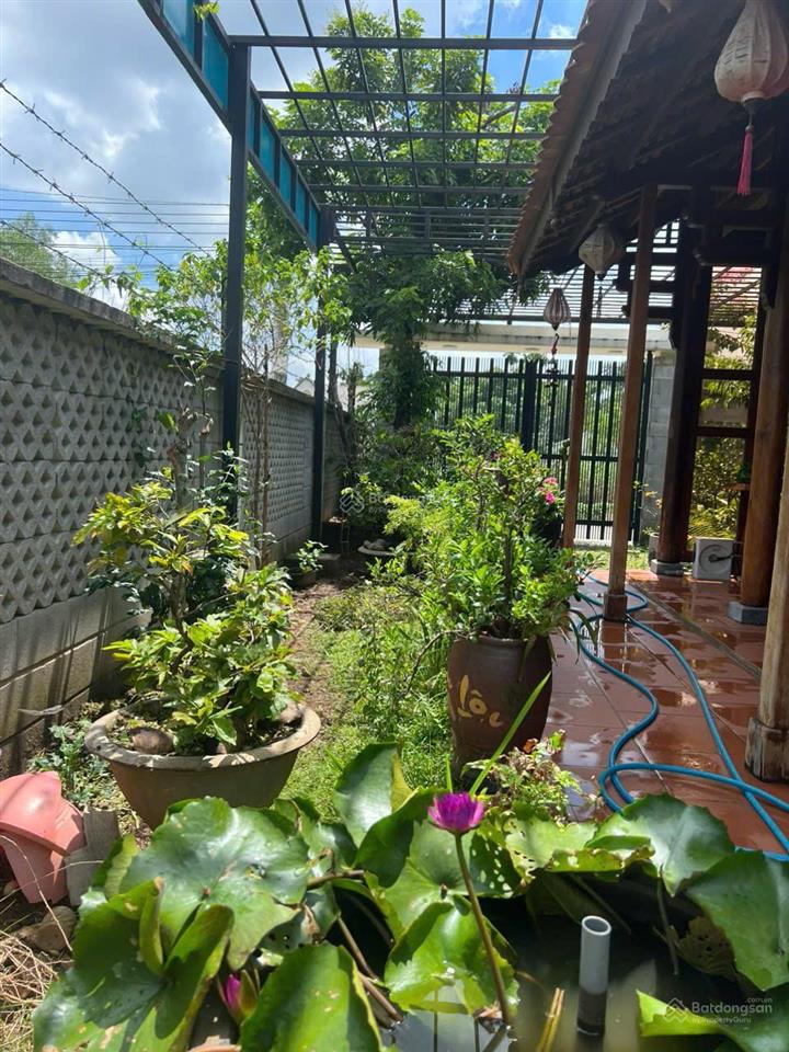 Nhà gỗ 3 gian khu nghỉ dưỡng 6.50m x 34m  phường phú thọ, tdm, gần đường vành đai 3