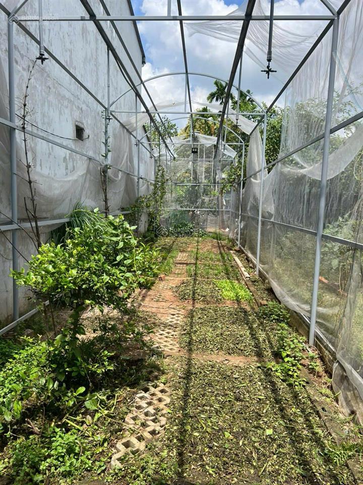 Nhà gỗ 3 gian khu nghỉ dưỡng 6.50m x 34m  phường phú thọ, tdm, gần đường vành đai 3