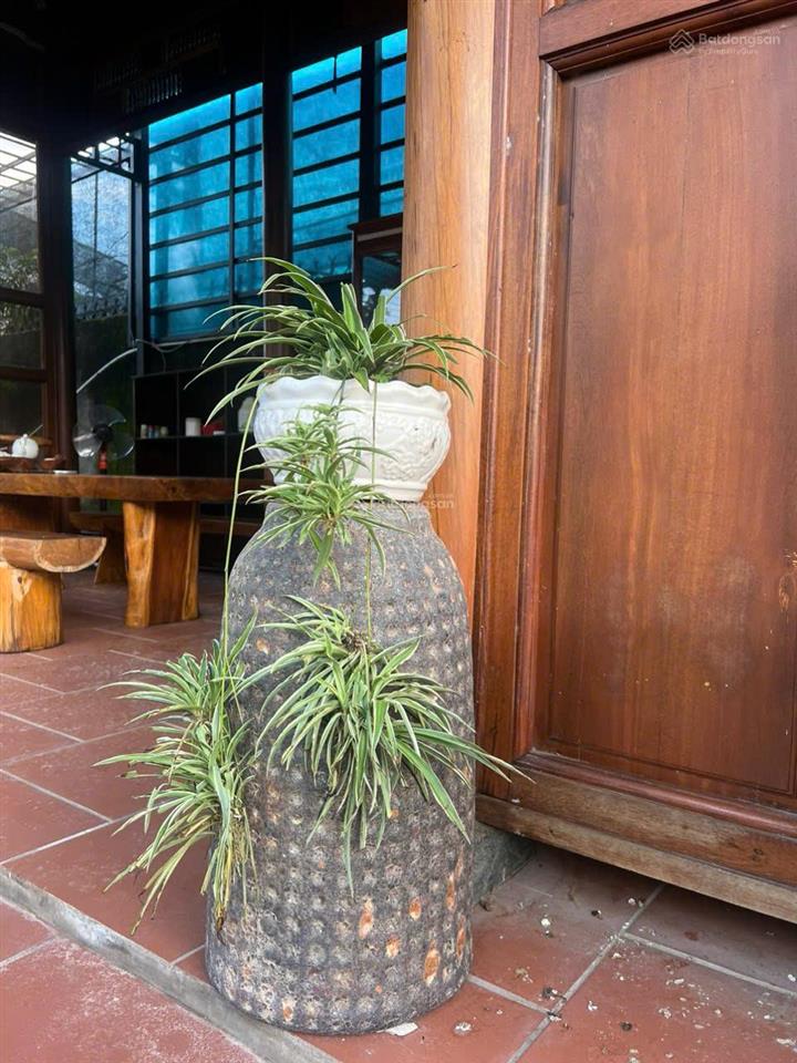 Nhà gỗ 3 gian khu nghỉ dưỡng 6.50m x 34m  phường phú thọ, tdm, gần đường vành đai 3