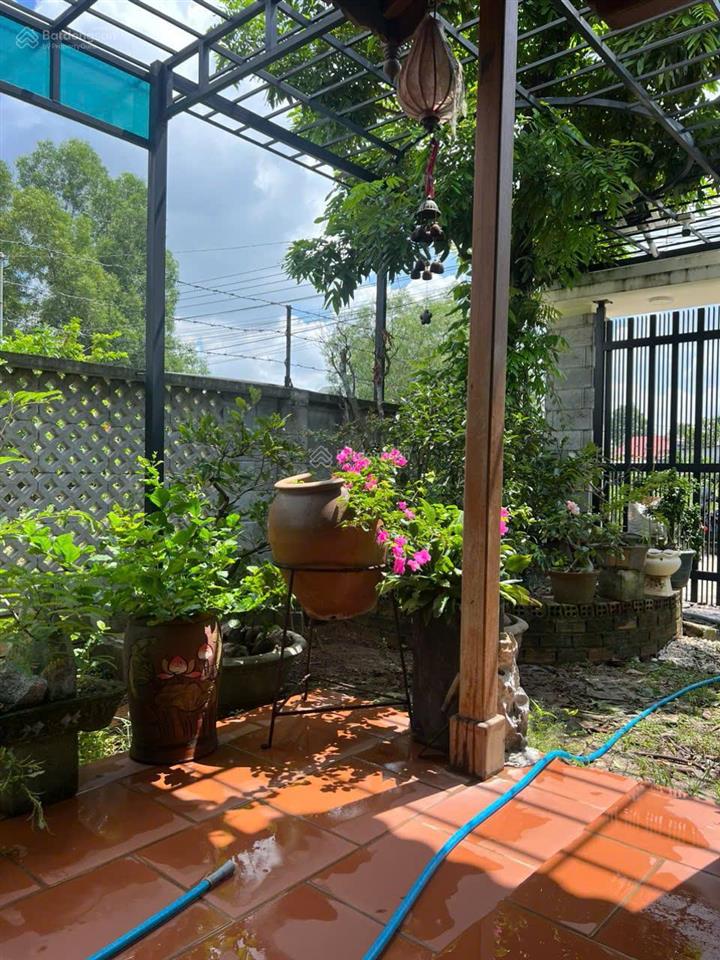 Nhà gỗ 3 gian khu nghỉ dưỡng 6.50m x 34m  phường phú thọ, tdm, gần đường vành đai 3