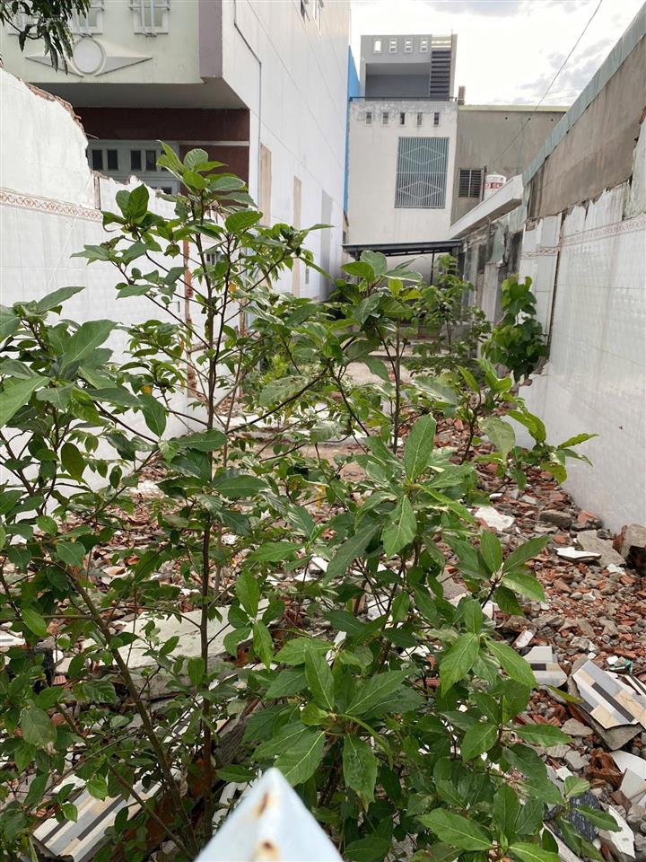 Bán nhanh lô đất mặt tiền 41 c nam hoà dt 63.5m2 giá 9.8 tỷ thương lượng 0906 821 *** ( 24/7)