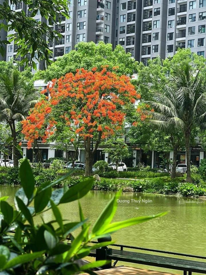 Chính chủ gửi bán 68m2 skyoasis view đảo rẻ nhất thị trường  4,820 tỷ ( không phải căn 17)