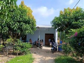 Bán mảnh đất 2500m2 có nhà cấp 4 ngay ubnd tân hiệp  phú giáo  tphcm. giá 650 triệu