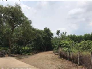 Ngộp bank cần bán thửa đất 35, tờ bản đồ 15 tại ấp 8, xã bàu cạn, huyện long thành, tỉnh đồng nai