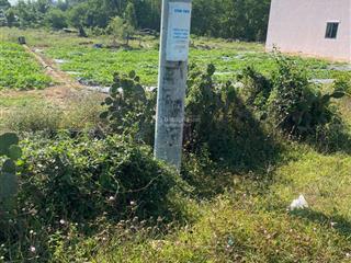 Ngộp bank cần bán thửa đất số 1952, tờ bản đồ số 8 tại xã an phú, tp tuy hòa, tỉnh phú yên.