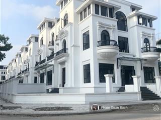 Khẳng định đẳng cấp thượng lưu với bt đơn lập vip, dt đất 533.6m2, dtxd 1200m2 chỉ có ở louis city
