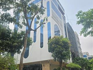 Bán shophouse đẹp 307m2 tại dịch vọng, cầu giấy, hà nội, 126 tỷ vnd