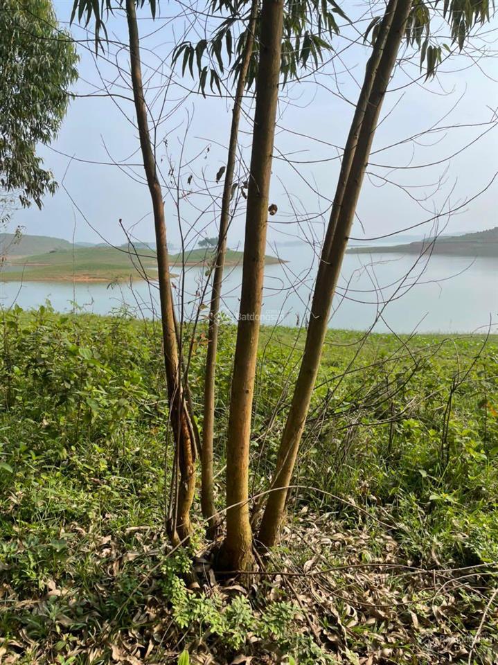 Bán quả đảo tròn trịa đẹp nhất hồ thác bà 1,6ha giá 2,2 tỷ