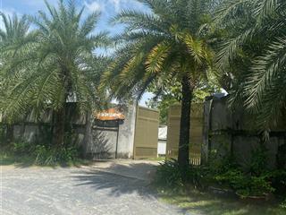 Đất mặt tiền  view sông  gần vinhomes grand park  q9  gần đền thờ tổ nsut