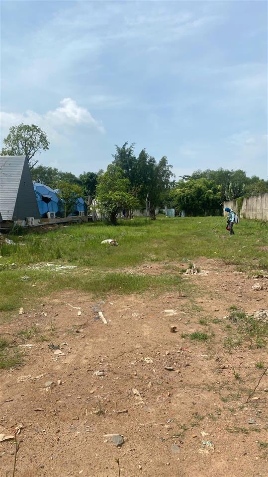 Đất mặt tiền  view sông  gần vinhomes grand park  q9  gần đền thờ tổ nsut