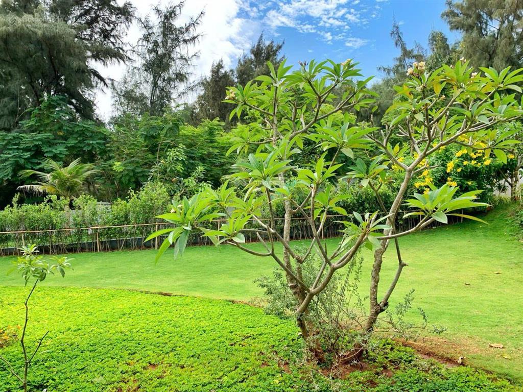 Chủ đi định cư, cần bán gấp duy nhất 1 căn góc 2 mặt tiền 375m2 dưới giá thị trường 30%