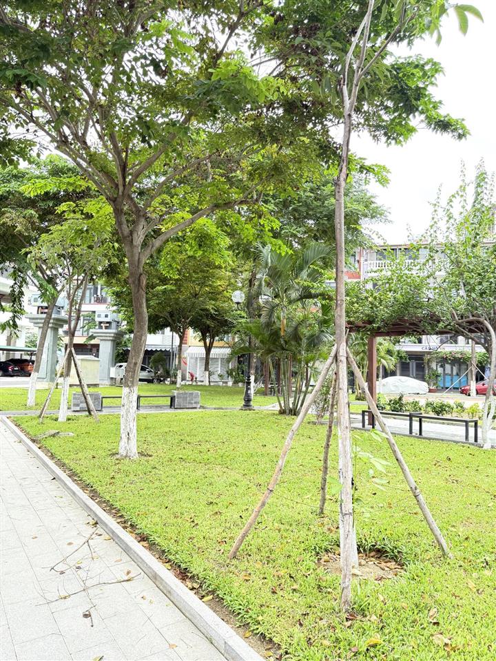 Bán lô đất đối diện công viên khu đô thị vcn phước long 1 cạnh chung cư ct2 giá rẻ 6,6 tỷ.