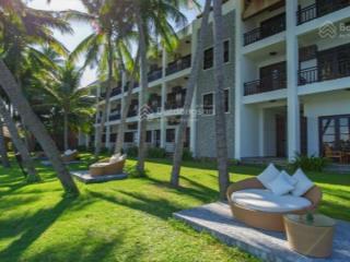 Bán gấp resort 4 sao view biển cửa đại 2xx tỷ  5.162m2 ngang 50m. doanh thu 4 tỷ/tháng