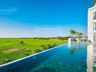 Bán đất siêu hot tại lý thái tổ, 65 tỷ, 900m2, hội an, view lúa sau lưng
