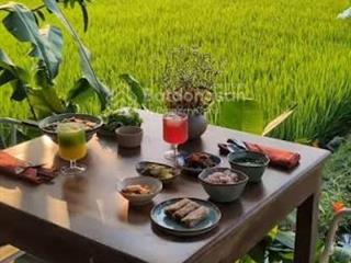 Bán đất mặt tiền lý thái tổ  view lúa đẹp hiếm có, cách phố cổ chỉ 500m  100m2 9 tỷ