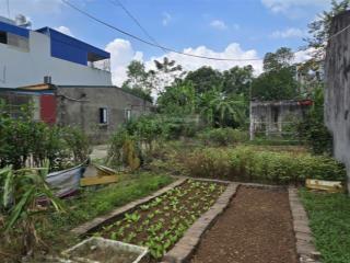 Chính chủ bán đất minh trí, sóc sơn, 99.5m2, mt 4.06m hướng đông nam, đường ô tô tránh