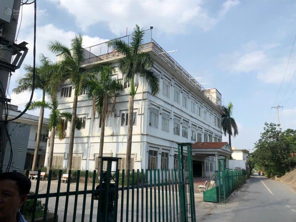 Cho thuê mặt bằng 4000m2 làm trường học, nhà hàng, văn phòng