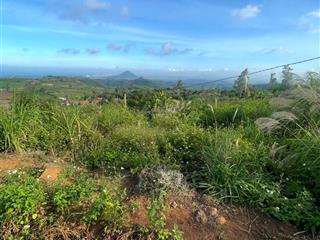 1 ha mặt tiền dt 643 cao nguyên vân hoà