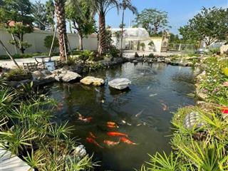 Nhà sân vườn nghỉ dưỡng tdm 1041m2 có sẵn khuôn viên tiểu cảnh hồ cá koi cực kỳ đẹp giá 13,9 tỷ