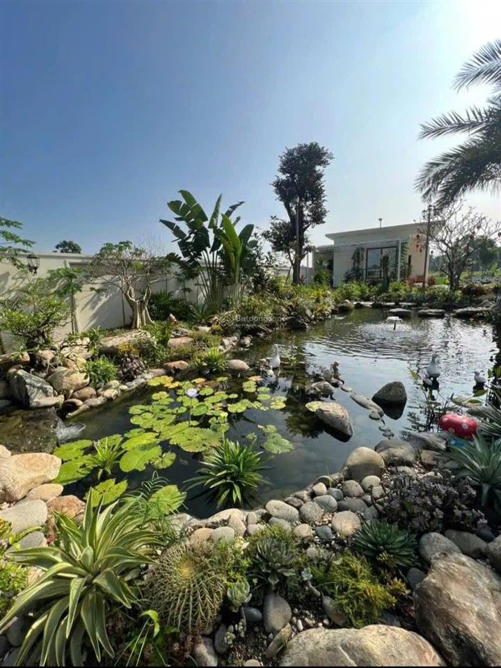 Nhà sân vườn nghỉ dưỡng tdm 1041m2 có sẵn khuôn viên tiểu cảnh hồ cá koi cực kỳ đẹp giá 13,9 tỷ