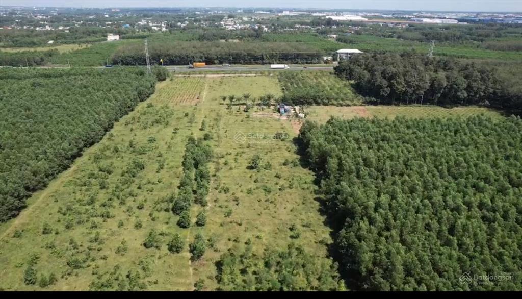Cần bán gấp quỹ đất mặt tiền sân bay long thành tổng diện tích 46923,5m2 (170x300m), giá 118 tỷ
