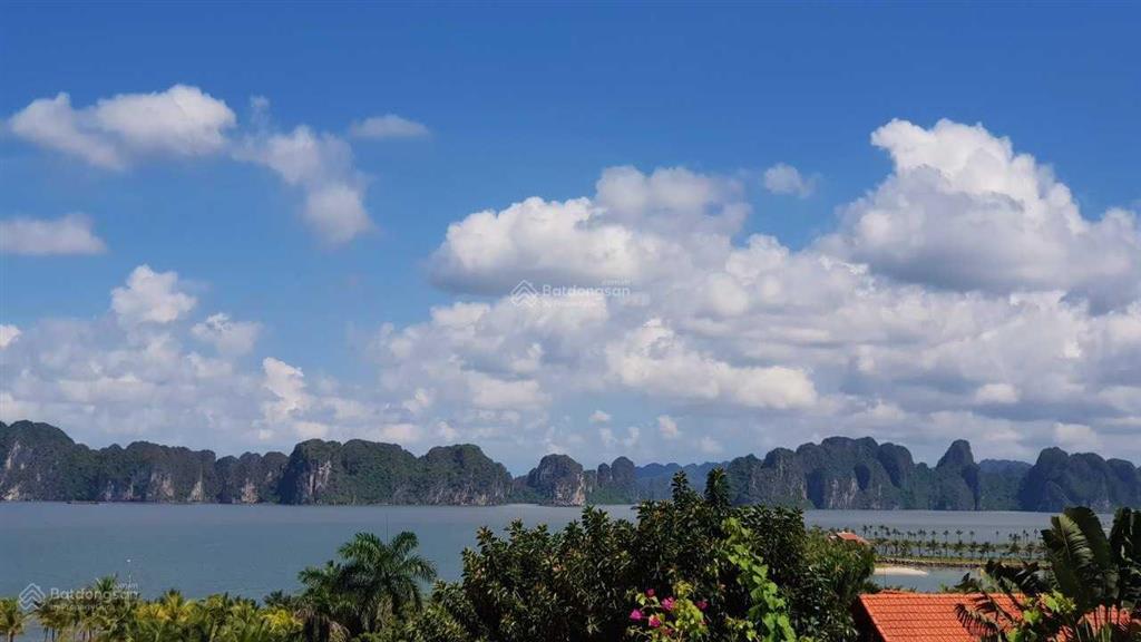 Bán lỗ đất biệt thự biển tuần châu, view biển sở hữu lâu dài có sổ hồng. mr đông