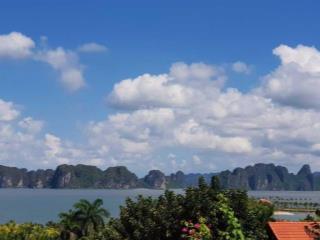 Bán lỗ đất biệt thự biển tuần châu, view biển sở hữu lâu dài có sổ hồng. mr đông