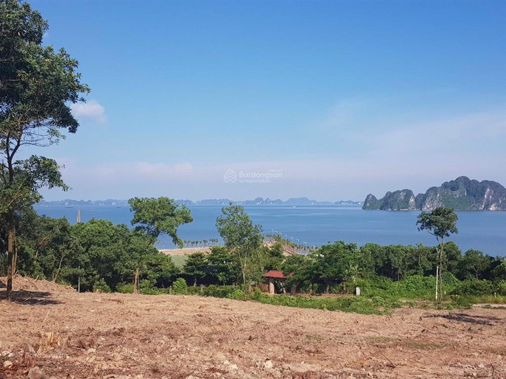 Bán lô đất bt quay biển hàng hiếm tại đồi tuần châu
