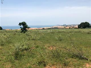 Chính chủ bán gấp đất view biển qh tmdv 1.77ha tại xã hoà thắng, bắc bình, bình thuận, chỉ 300k/m2