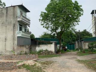 Bán 81m2 đất đấu giá khu vườn cây, kim chung, hoài đức, hà nội.