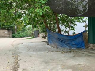 Bán 81m2 đất đấu giá khu vườn cây, kim chung, hoài đức, hà nội.