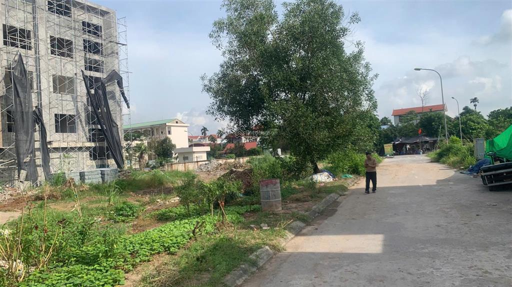 Bán đất đấu giá đồng cầu lọc ngọc tảo, phúc thọ, hà nội diện tích 162m²