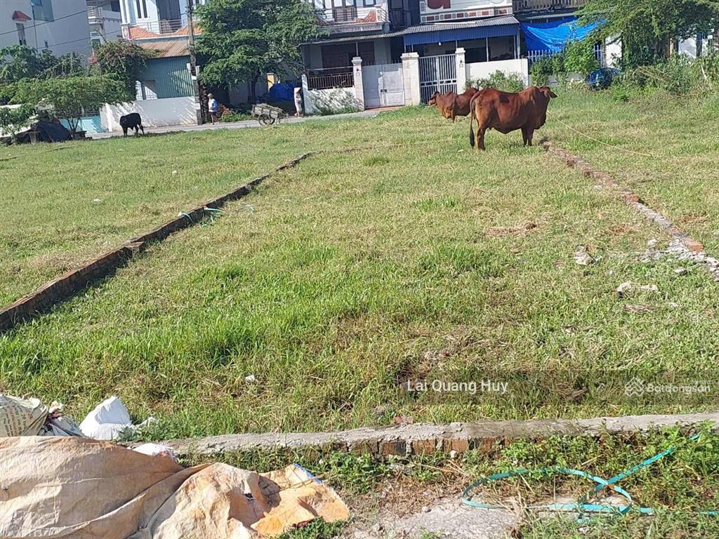 Tổng hợp 1 số lô đất giá tốt xã vân nội, bắc hồng, nguyên khê  đông anh