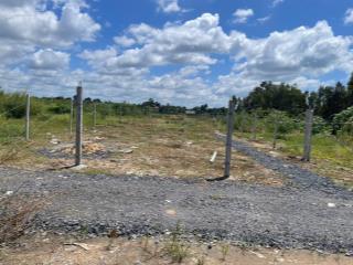Con du học, bán gần 1000m2 đất đẹp tân thạnh đông, củ chi, vành đai 3, cao tốc mb  hcm