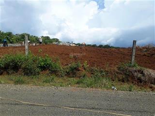 Bán gấp đất nền 500m2 tại lý thái tổ, đam bri, bảo lộc, lâm đồng, giá ưu đãi 850 triệu