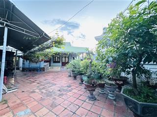 Giảm 2 tỷ bán đất tặng nhà cấp 4 mặt tiền đường cầu dứa  phú nông, cải tạo làm nhà vườn tuyệt vời