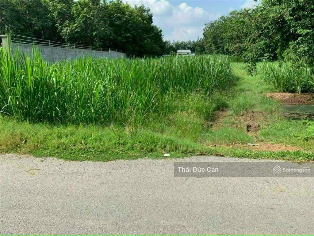 Bán đất mặt tiền bến đình xã an nhơn tây, dt= 3003.6m2, có 2000m2 thổ cư đường lớn, giao thông kết
