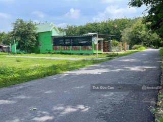 Bán lô đất 3 mặt tiền đường xã an nhơn tây huyện củ chi tổng diện tích 5442m2 có 700m2 ont