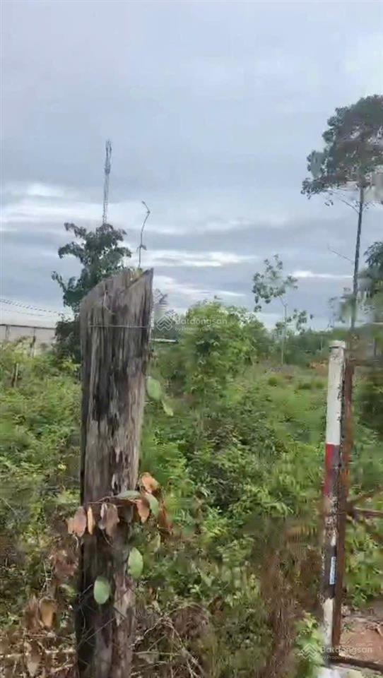 Bán đất mt đường tỉnh lộ 15, xã nhuận đức. dt 16.589m2 có sẵn 300m2 thổ cư. giá 41 tỷ  2,5tr/m2