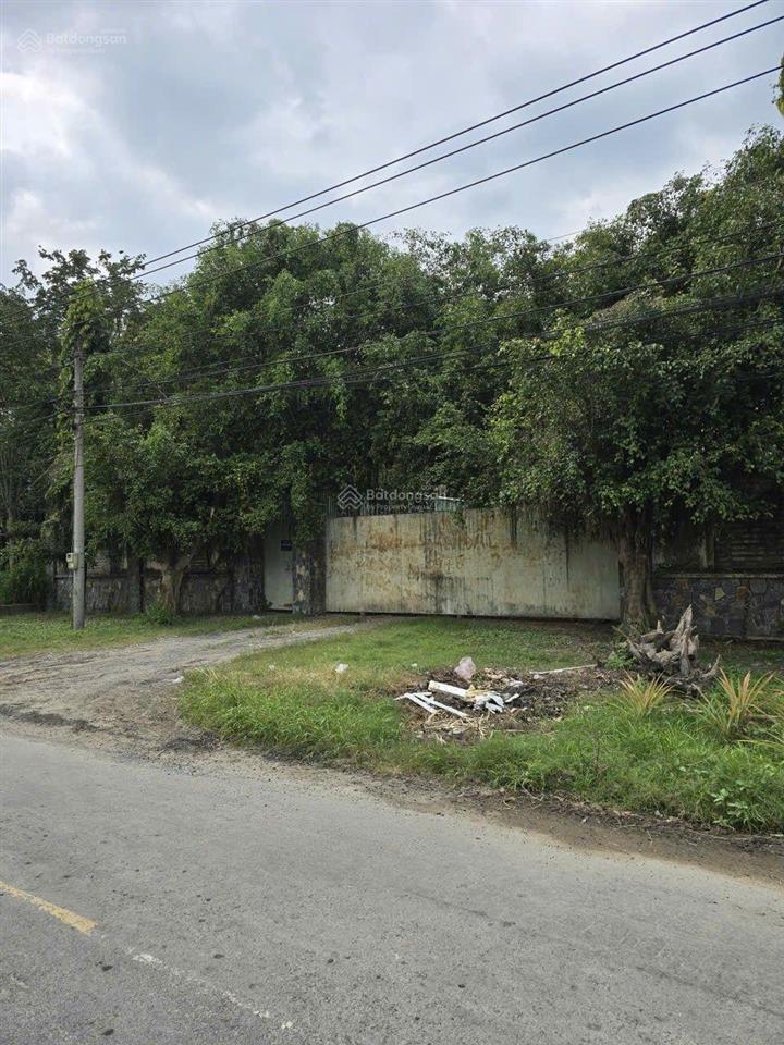 Bán xưởng mt đường bến đình, xã an nhơn tây, dt 29,5x115m=3417m2, có 1993m2 thổ cư, giá chỉ 25 tỷ