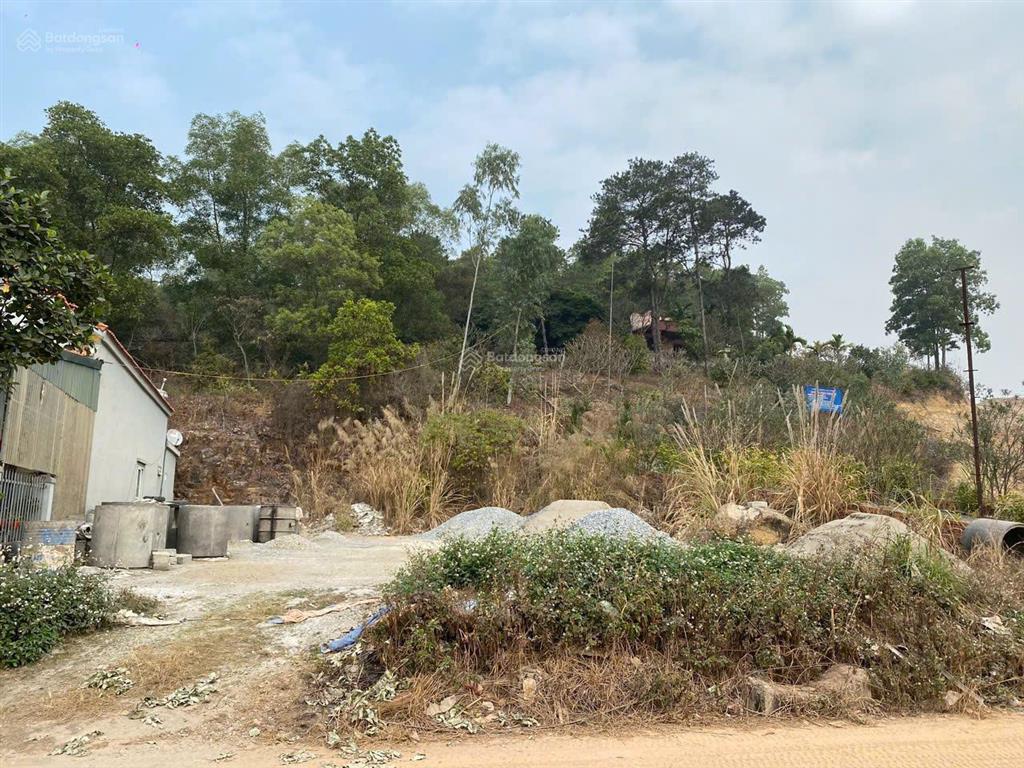 Bán đất sát mặt đường quốc lộ cách siêu dự án hạ long xanh vingroup 800m tại hà khẩuhlqn