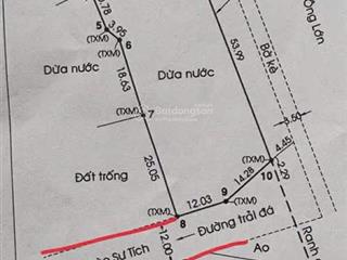 Cần bán lô đất nông nghiệp cách mặt tiền đường đào sư tích 100m