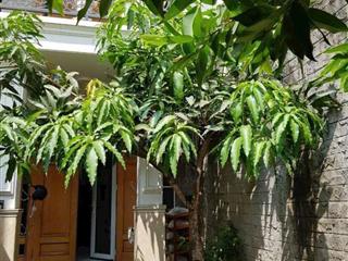 Bán gấp nhà phan xích long 105m2  sổ nở hậu  chỉ 12 tỷ