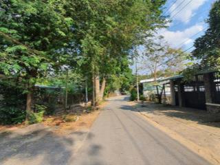 Biệt thự nhà vườn 4053m2, 300m2 thổ cư, làm việc trực tiếp, giá chỉ 27 tỷ